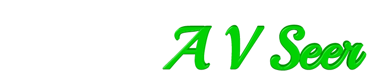 A V Seer